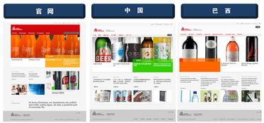 跨國公司網(wǎng)站建設 上海的專業(yè)選擇與實踐